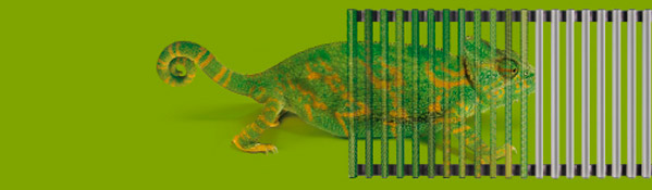 Декоративные решетки